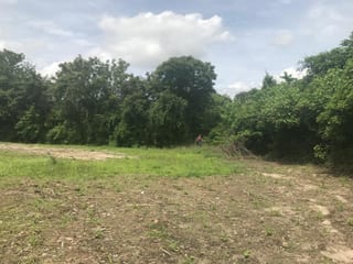 Terreno en las Tunas, Sanarate el Progreso — Terreno en Venta en Sanarate, El Progreso — miniatura 3 de 6