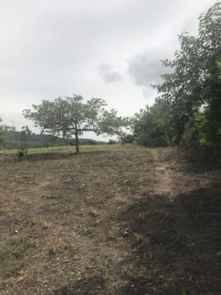 Terreno en las Tunas, Sanarate el Progreso — Terreno en Venta en Sanarate, El Progreso — miniatura 2 de 6