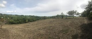 Terreno en las Tunas, Sanarate el Progreso — Terreno en Venta en Sanarate, El Progreso — miniatura 6 de 6