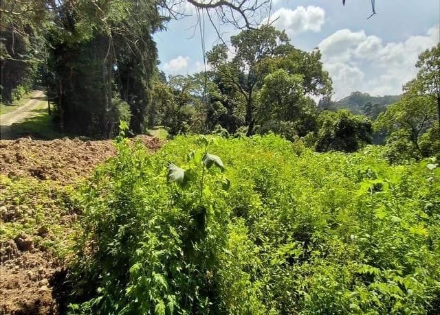 Vendo Amplio Terreno en Granja Buenos Aires, KM 22.5 Carr. al Salvador — Terreno en Venta en Carretera a El Salvador, Guatemala, Ciudad — foto 6 de 6