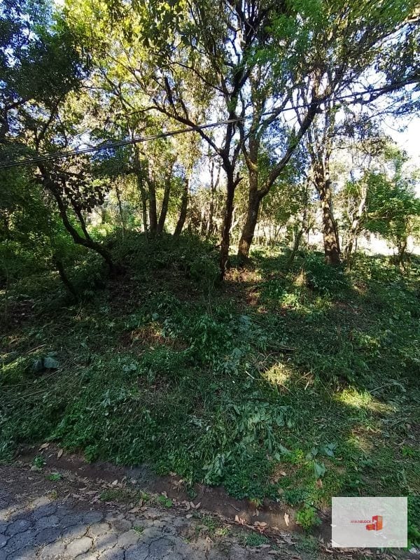Venta de Terreno en El Encinal Tronco 8 - Mixco Guate — Terreno en Venta en Zona 7 Mixco, Guatemala, Ciudad — foto 6 de 11