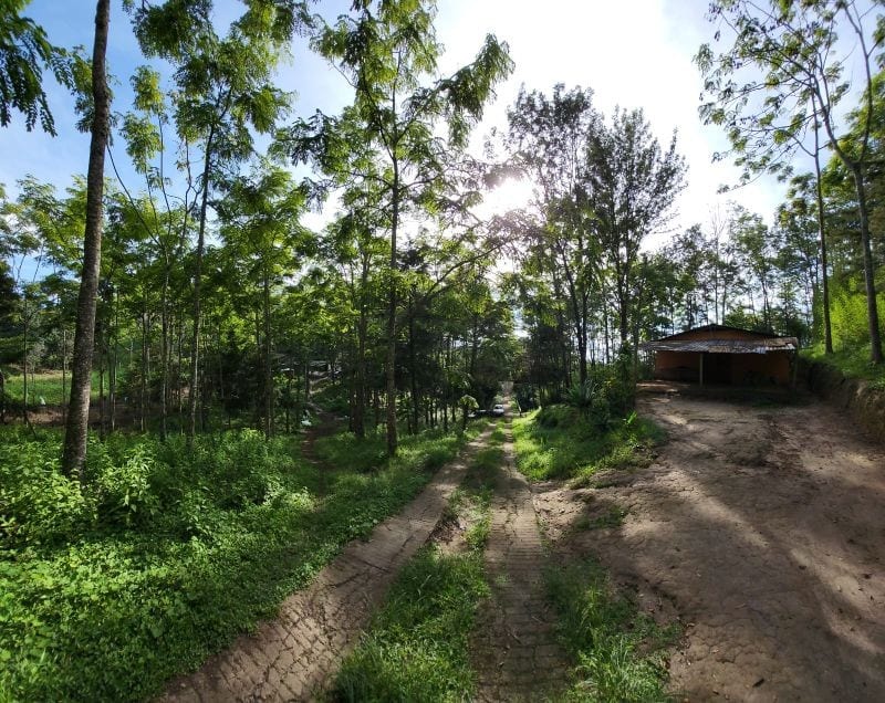 Finca en Venta en San Jose Pinula Camino a los Ocotes — Finca en Venta en San José Pinula, Guatemala, Ciudad — foto 8 de 17