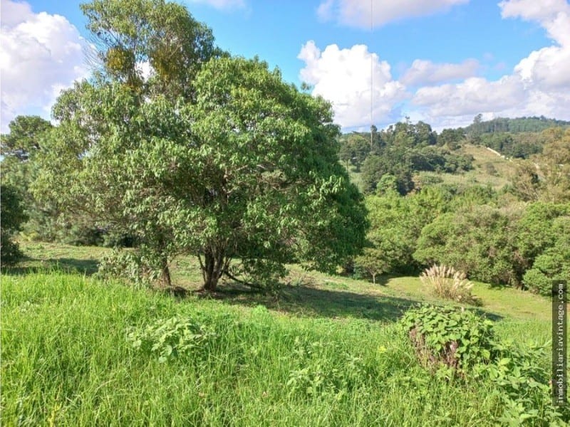 El Pulte Ecuestre Terreno en Venta Zona 16 — Terreno en Venta en El Pulté, Zona 16, Guatemala, Ciudad — foto 2 de 10