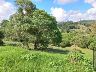 El Pulte Ecuestre Terreno en Venta Zona 16 — Terreno en Venta en El Pulté, Zona 16, Guatemala, Ciudad — miniatura 2 de 10