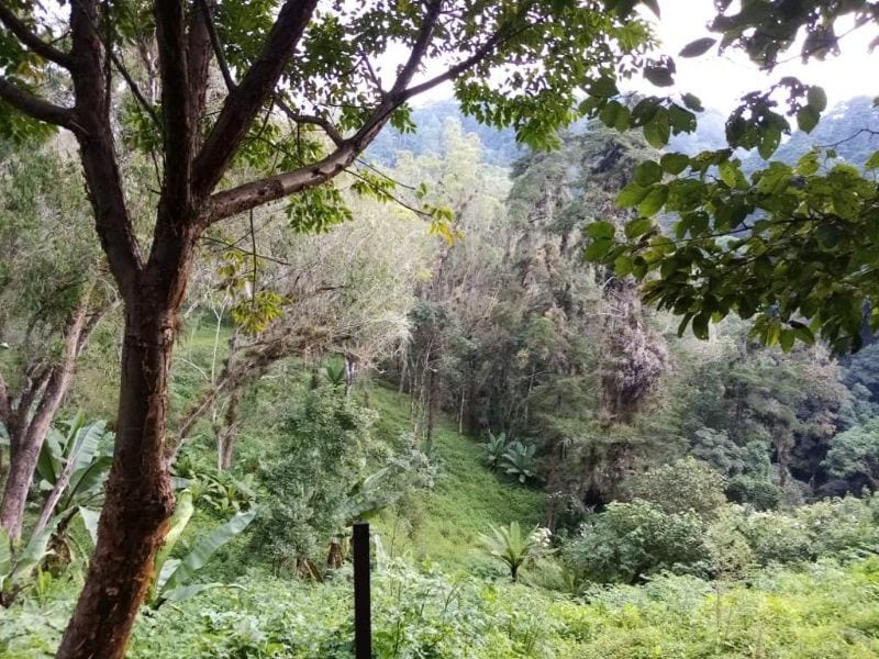Terreno en Venta en Muxbal — Terreno en Venta en Muxbal, Guatemala, Ciudad — foto 2 de 3
