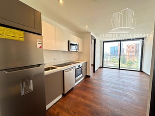 Vasanta zona 10, apartamento de 1 dormitorio — Apartamento en Alquiler en Zona 10, Guatemala, Ciudad — miniatura 2 de 17