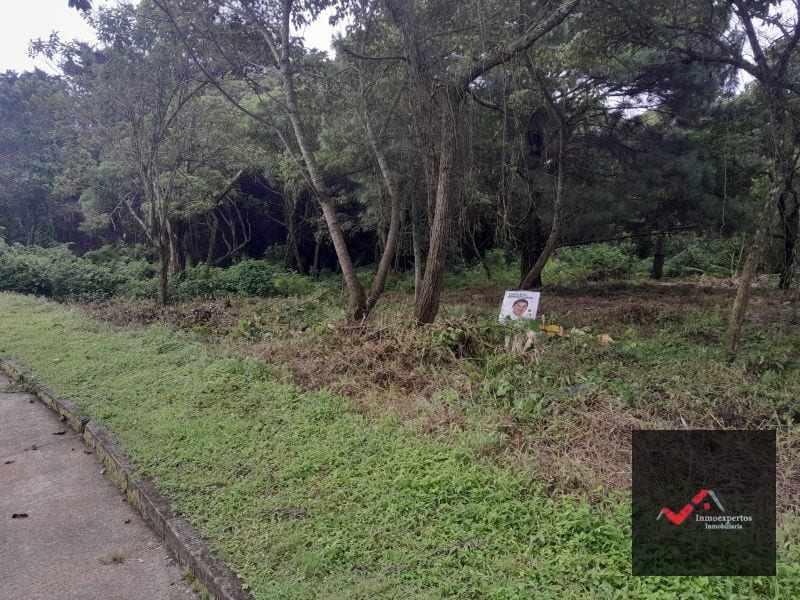 Terreno en Venta Carretera a el Salvador Casa y Campo KM. 23.5 — Terreno en Venta en Carretera a El Salvador, Guatemala, Ciudad — foto 3 de 9