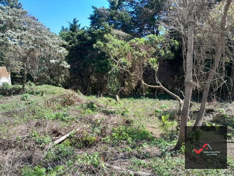 Terreno en Venta Carretera a el Salvador Casa y Campo KM. 23.5 — Terreno en Venta en Carretera a El Salvador, Guatemala, Ciudad — foto 6 de 9