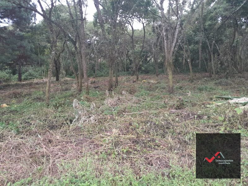 Terreno en Venta Carretera a el Salvador Casa y Campo KM. 23.5 — Terreno en Venta en Carretera a El Salvador, Guatemala, Ciudad — foto 2 de 9