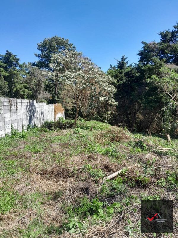 Terreno en Venta Carretera a el Salvador Casa y Campo KM. 23.5 — Terreno en Venta en Carretera a El Salvador, Guatemala, Ciudad — foto 7 de 9