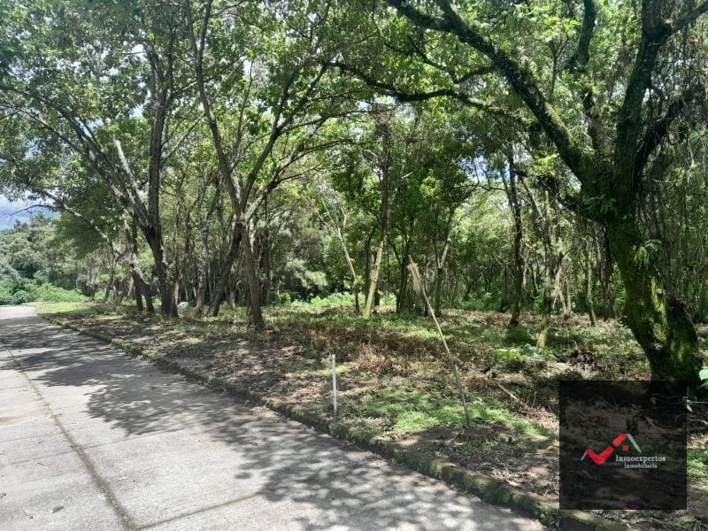 Terreno en Venta Carretera a el Salvador KM 23.5 Casa y Campo — Terreno en Venta en Carretera a El Salvador, Guatemala, Ciudad — foto 6 de 9