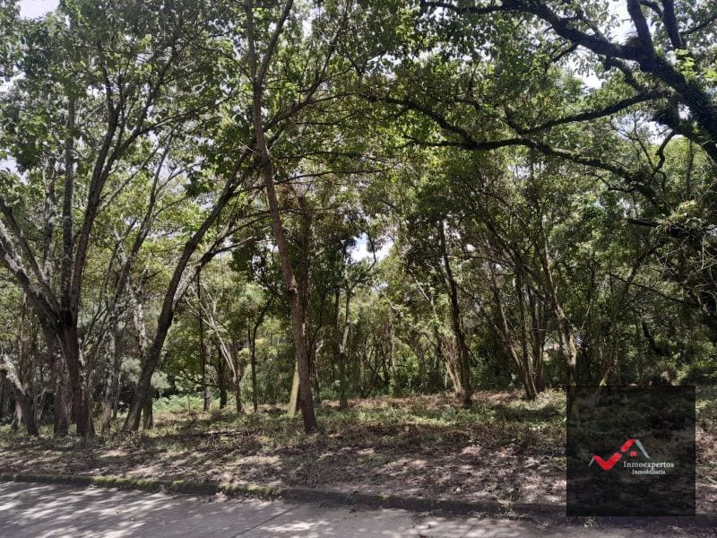 Terreno en Venta Carretera a el Salvador KM 23.5 Casa y Campo — Terreno en Venta en Carretera a El Salvador, Guatemala, Ciudad — foto 8 de 9