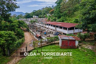 Finca en Pueblo Nuevo Viñas — Finca en Venta en Pueblo Nuevo Viñas, Santa Rosa — miniatura 2 de 17