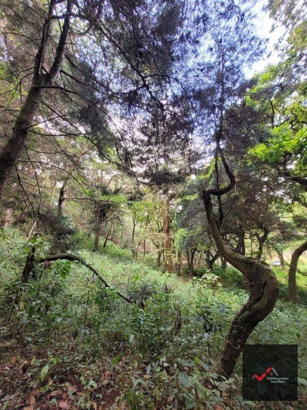 Terreno en Venta San Lucas, Sacatepequez — Terreno en Venta en San Lucas Sacatepéquez, Sacatepéquez — foto 6 de 12