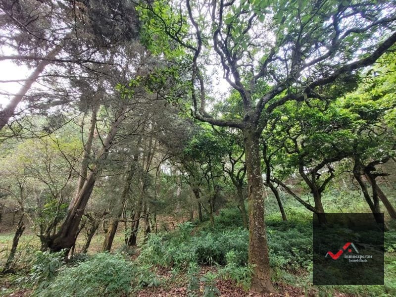 Terreno en Venta San Lucas, Sacatepequez — Terreno en Venta en San Lucas Sacatepéquez, Sacatepéquez — foto 9 de 12