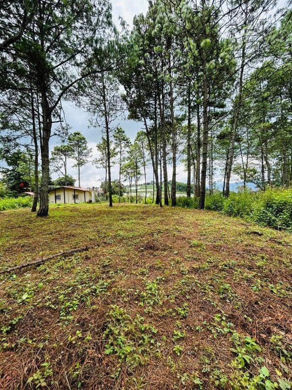 Terreno en Venta en Hacienda las Llanuras Sumpango — Terreno en Venta en Sumpango, Sacatepéquez — foto 8 de 12