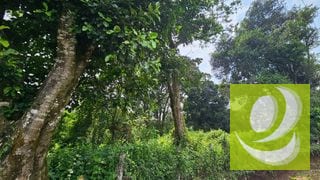 En Venta Terreno de 2 Manzanas en la Reserva Santa Elena Barillas — Terreno en Venta en Santa Elena Barillas, Guatemala, Ciudad — miniatura 1 de 5