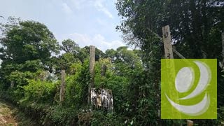 En Venta Terreno de 2 Manzanas en la Reserva Santa Elena Barillas — Terreno en Venta en Santa Elena Barillas, Guatemala, Ciudad — miniatura 4 de 5