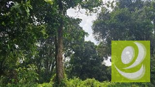 En Venta Terreno de 2 Manzanas en la Reserva Santa Elena Barillas — Terreno en Venta en Santa Elena Barillas, Guatemala, Ciudad — miniatura 5 de 5