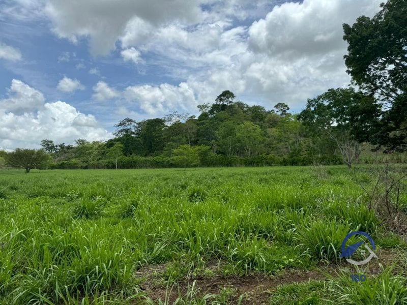 Se vende Finca en La Libertad - Petén - Guatemala — Finca en Venta en La Libertad, Petén — foto 3 de 11