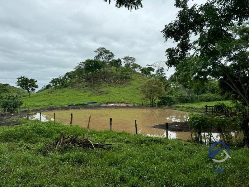 Se vende Finca en La Libertad - Petén - Guatemala — Finca en Venta en La Libertad, Petén — foto 11 de 11
