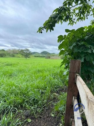 Se vende Finca en La Libertad - Petén - Guatemala — Finca en Venta en La Libertad, Petén — miniatura 10 de 11