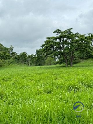 Se vende Finca en La Libertad - Petén - Guatemala — Finca en Venta en La Libertad, Petén — miniatura 8 de 11