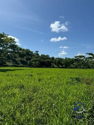 Se vende Finca en La Libertad - Petén - Guatemala — Finca en Venta en La Libertad, Petén — miniatura 4 de 11
