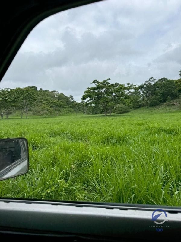 Se vende Finca en La Libertad - Petén - Guatemala — Finca en Venta en La Libertad, Petén — foto 7 de 11