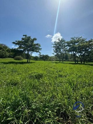 Se vende Finca en La Libertad - Petén - Guatemala — Finca en Venta en La Libertad, Petén — miniatura 1 de 11