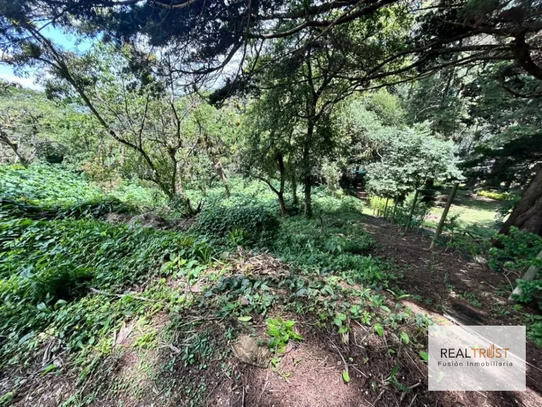 Terreno en Venta Vistalvalle Km.9 — Terreno en Venta en Carretera a El Salvador, Guatemala, Ciudad — foto 4 de 4