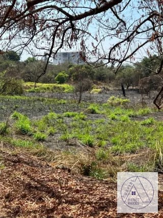 Autopista Puerto Quetzal km 80 11 manzanas en venta. — Terreno en Venta en Masagua, Escuintla — miniatura 7 de 7