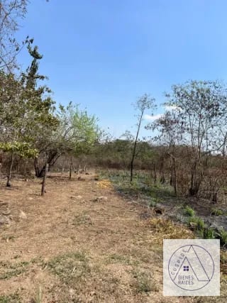 Autopista Puerto Quetzal km 80 11 manzanas en venta. — Terreno en Venta en Masagua, Escuintla — miniatura 6 de 7