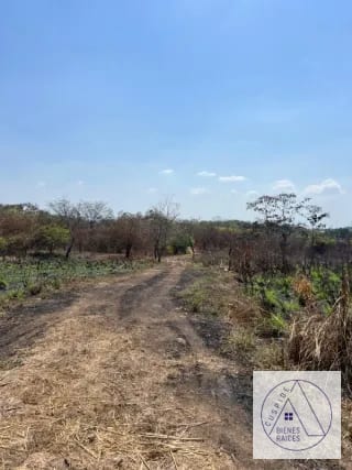 Autopista Puerto Quetzal km 80 11 manzanas en venta. — Terreno en Venta en Masagua, Escuintla — miniatura 5 de 7