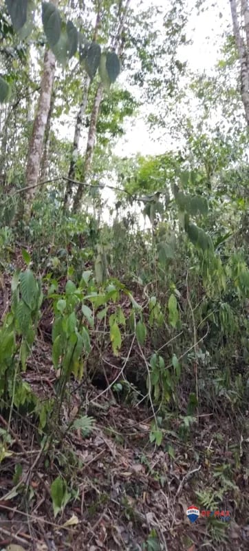 Terreno en Uspantan, Quiché Tiene Rió en Medio del Terreno — Terreno en Venta en Uspantán, Quiché — foto 3 de 3