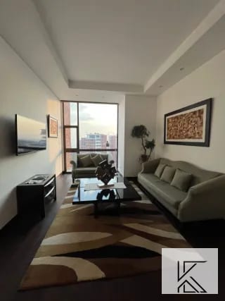 Lujoso y elegante apartamento en Edificio Echo zona 14 — Edificio en Alquiler en Echo, Zona 14, Guatemala, Ciudad — miniatura 13 de 16