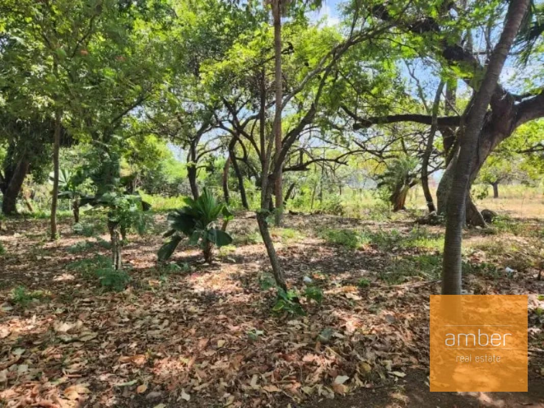Terreno en venta sobre carretera Antigua a Puerto San José — Terreno en Venta en Escuintla, Escuintla — foto 6 de 6