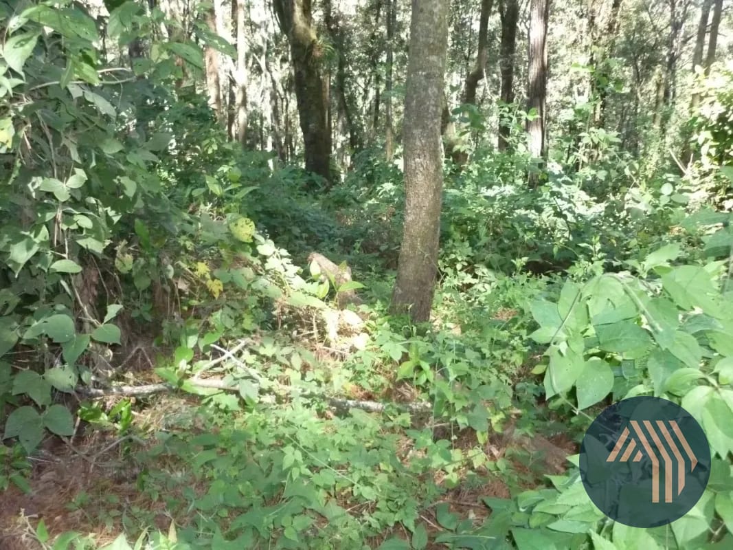 Venta de Amplio Terreno - Piedra Parada, Santa Cat. Pinula — Terreno en Venta en Santa Catarina Pinula, Guatemala, Ciudad — foto 1 de 6