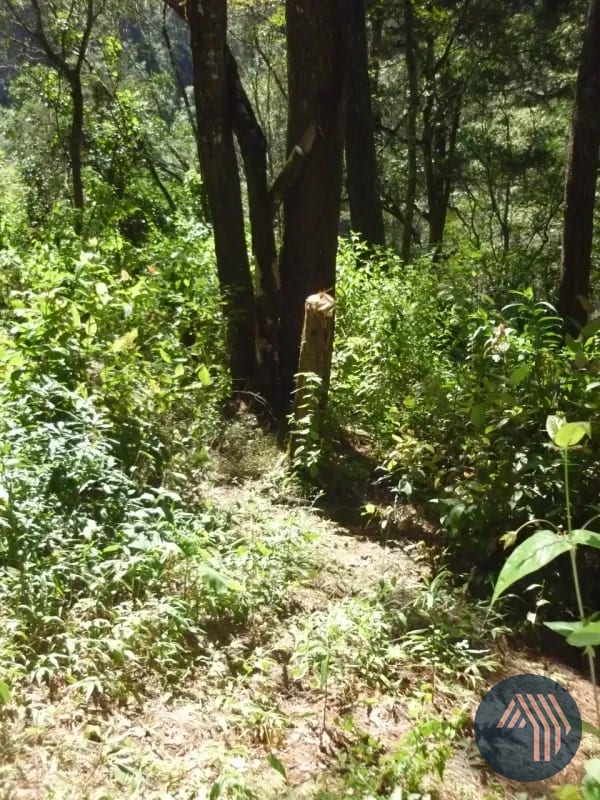 Venta de Amplio Terreno - Piedra Parada, Santa Cat. Pinula — Terreno en Venta en Santa Catarina Pinula, Guatemala, Ciudad — foto 6 de 6