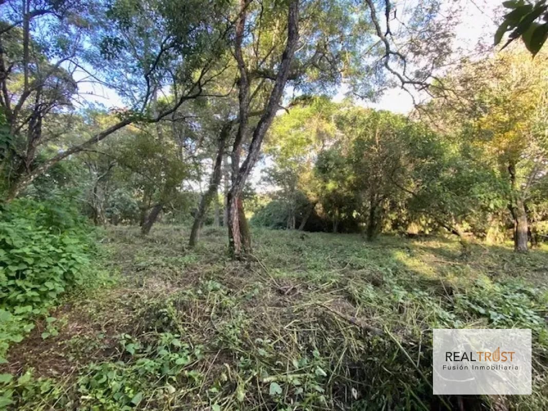 Terreno en Venta Premier Campestre CAES KM 22.5 — Terreno en Venta en Carretera a El Salvador, Guatemala, Ciudad — foto 1 de 4