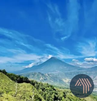 Venta de Espectacular Finca en Producción - San Vicente Pacaya — Finca en Venta en San Vicente Pacaya, Escuintla — miniatura 9 de 10