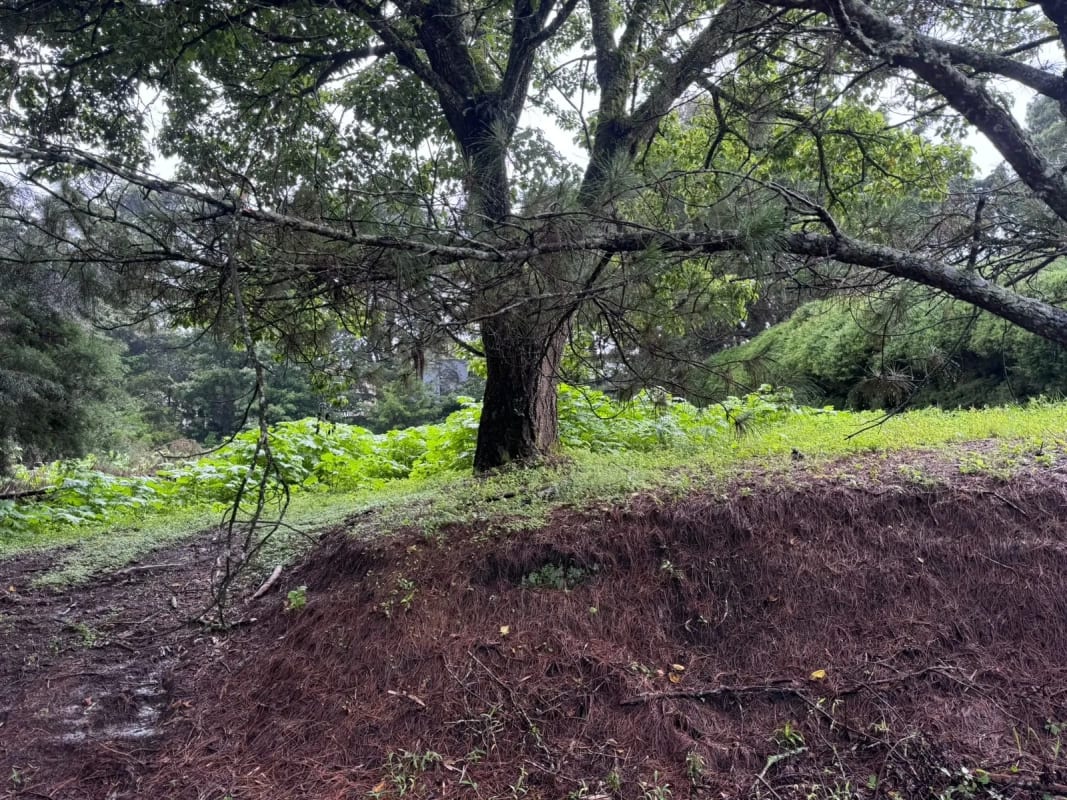 Terreno en Venta KM 16.5 CAES Cond. San Francisco Javier — Terreno en Venta en Carretera a El Salvador, Guatemala, Ciudad — foto 2 de 3