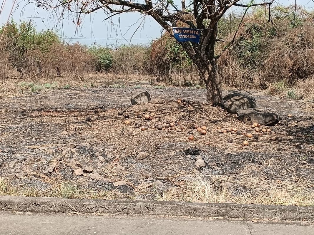Terreno en Venta KM 77 Via a Puerto Quetzal Quintas la Ponderosa — Terreno en Venta en Quintas La Ponderosa, Escuintla, Escuintla — foto 1 de 5