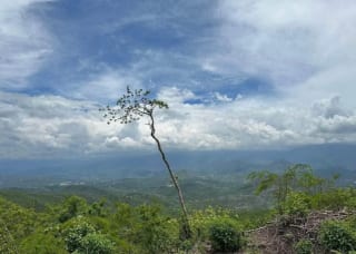 Terreno en VENTA El Progreso Guastatoya — Terreno en Venta en Guastatoya, El Progreso — miniatura 5 de 5