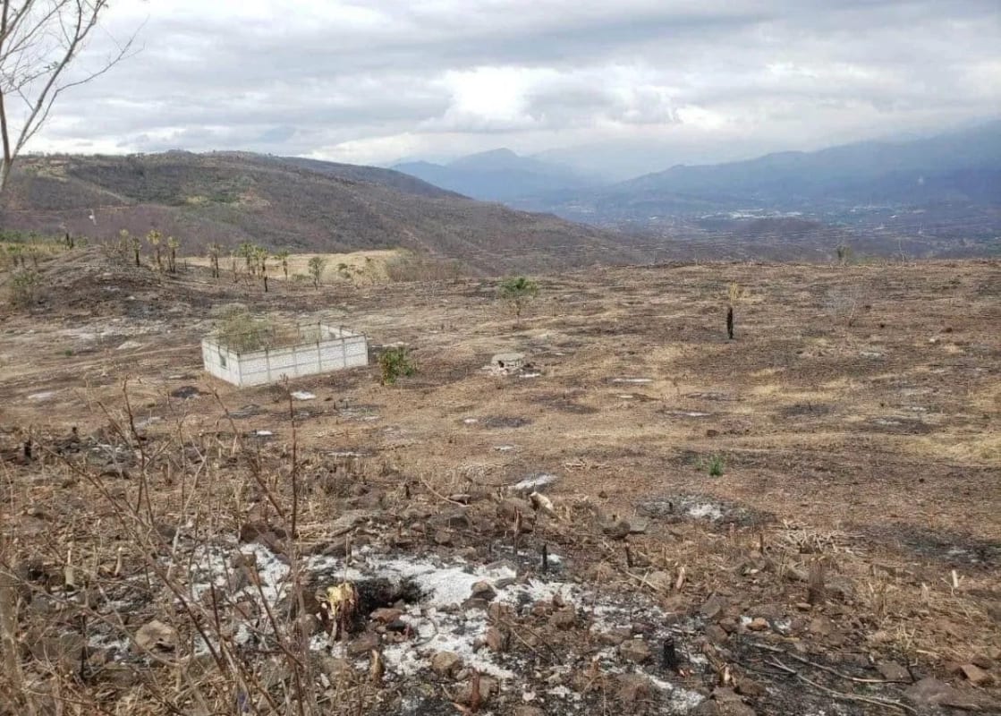 Terreno en VENTA El Progreso Guastatoya — Terreno en Venta en Guastatoya, El Progreso — foto 3 de 5