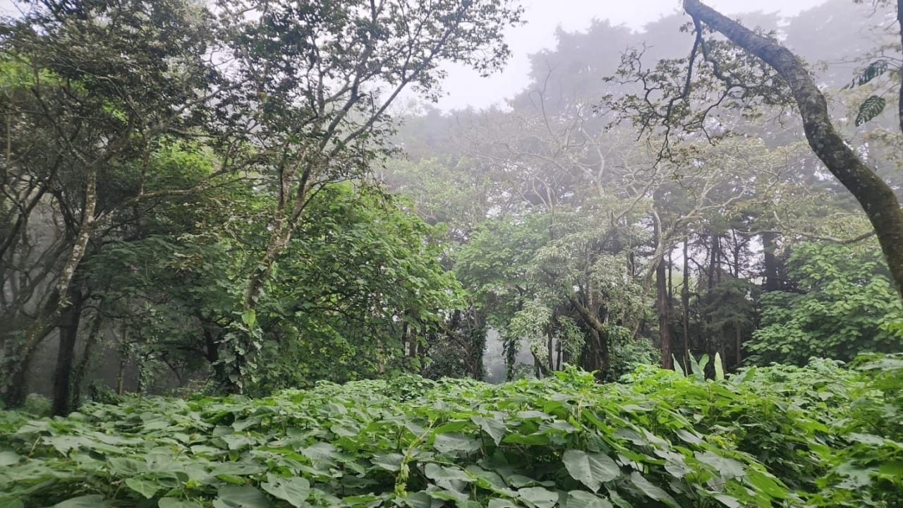 Terreno en venta en Premier Campestre km 23 carretera a El Salvador — Terreno en Venta en Carretera a El Salvador, Guatemala, Ciudad — foto 1 de 7