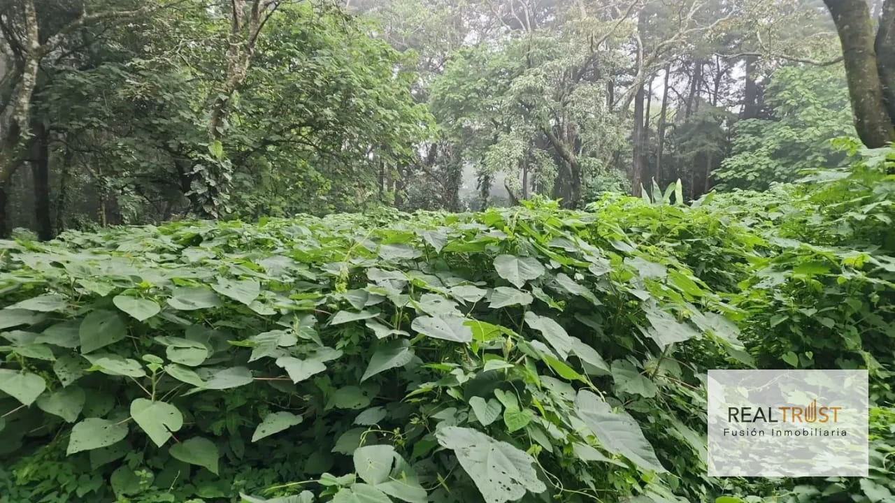 Terreno en Venta Premier Campestre KM 23 CAES — Terreno en Venta en Carretera a El Salvador, Guatemala, Ciudad — foto 7 de 7