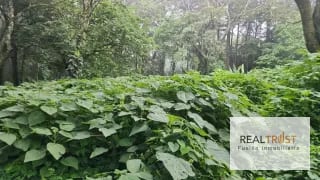 Terreno en Venta Premier Campestre KM 23 CAES — Terreno en Venta en Carretera a El Salvador, Guatemala, Ciudad — miniatura 7 de 7