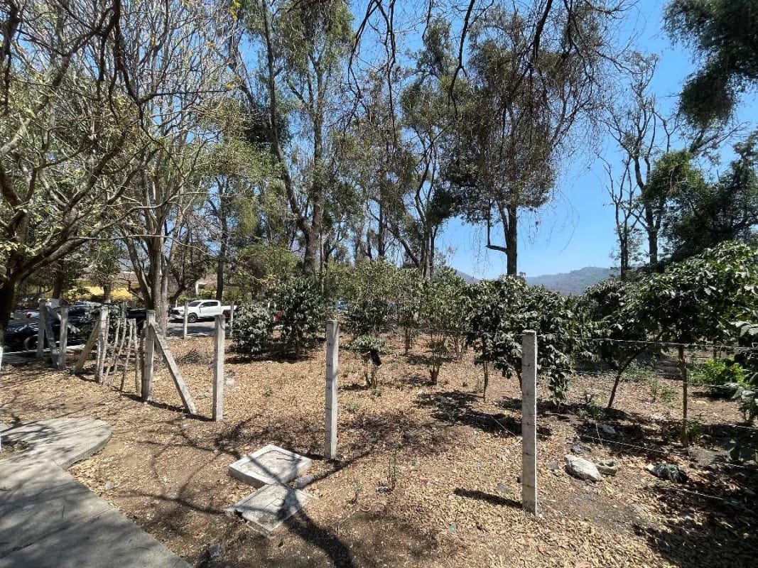 Terreno Antigua Guatemala Walking Distance al Casco Ideal Desarrollo de Plaza Comercial , Cerca de las Ruinas de la Recolección y Cerca del Casco de Antigua Guatemala 2217v2 — Terreno en Venta en Antigua, Sacatepéquez — foto 2 de 3
