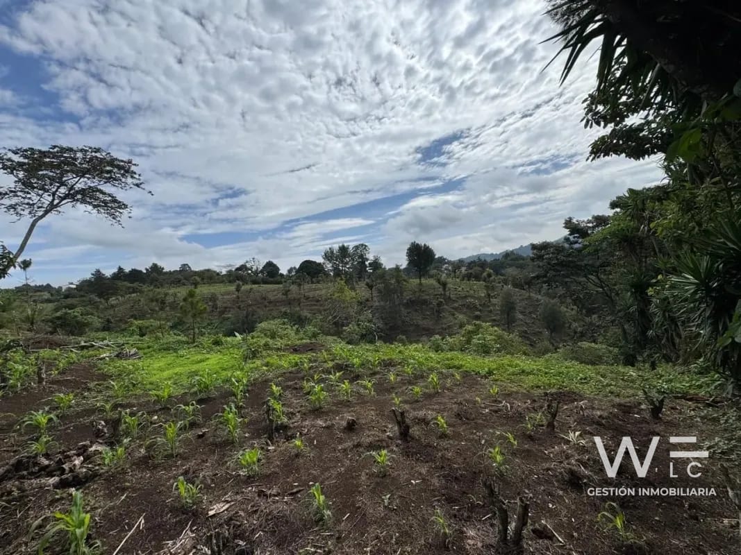 Vendo Terreno 17 Manzanas Fraijanes — Terreno en Venta en Fraijanes, Carretera a El Salvador, Guatemala, Ciudad — foto 3 de 10